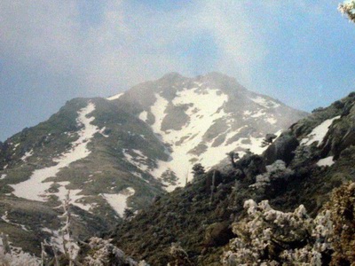 �{�V�Y�x���������I